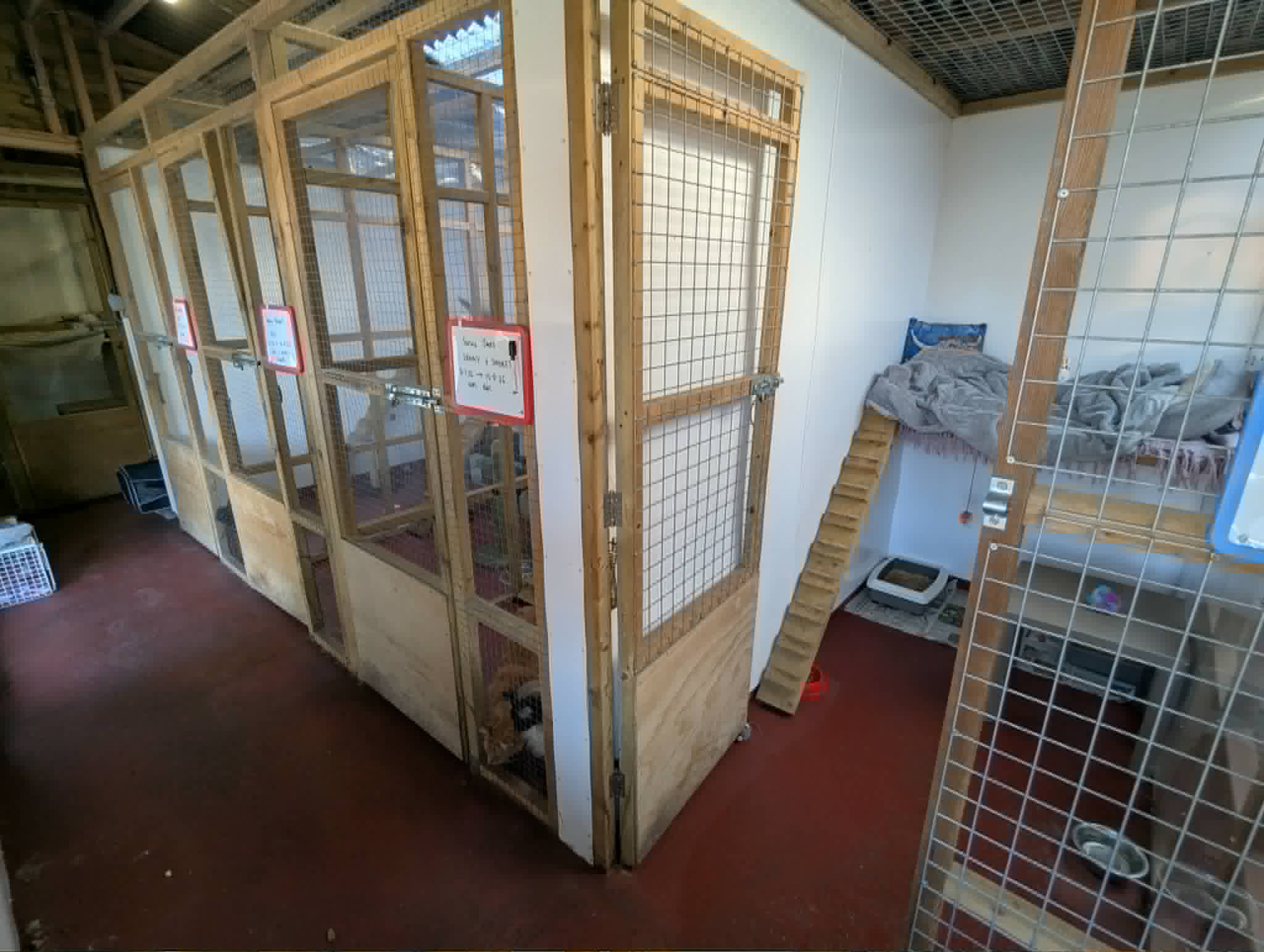 The interior corridor and row of guest pens at Merryfields Cattery