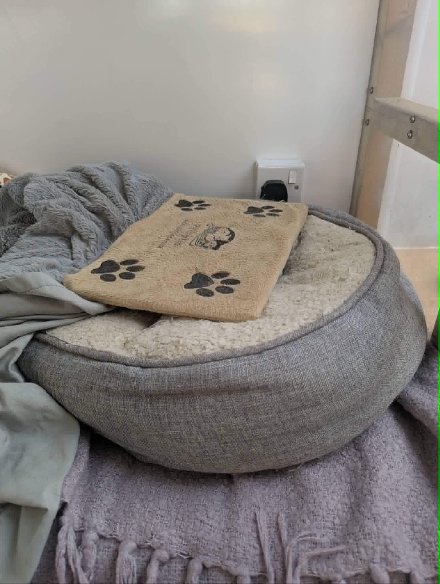 Soft bedding and a heated pad ready for a cat staying at Merryfields